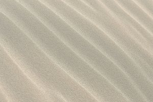 Untitled design - 2022-12-01T092132.535