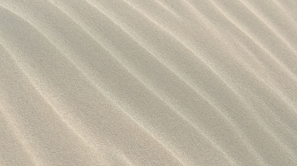 Untitled design - 2022-12-01T092132.535