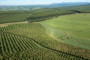 Untitled design - 2022-12-12T092604.038