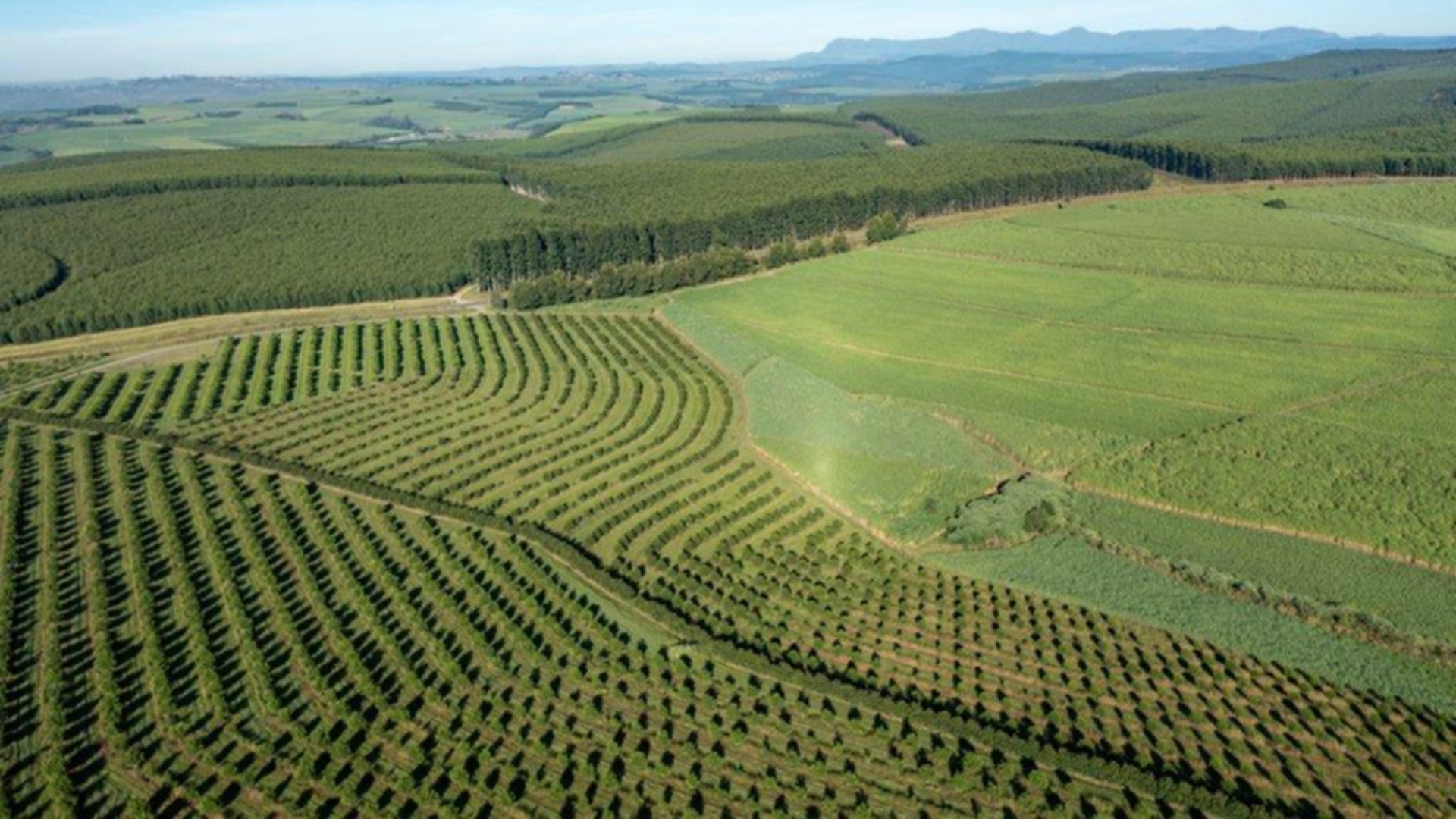 Untitled design - 2022-12-12T092604.038