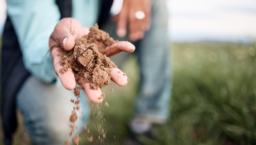 Untitled design - 2023-05-05T215415.409