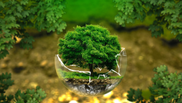 Untitled design - 2023-06-06T075239.241