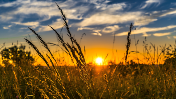 Untitled design - 2023-07-13T103953.570